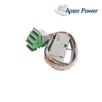 Invensys Foxboro AD202MU Cable Module
