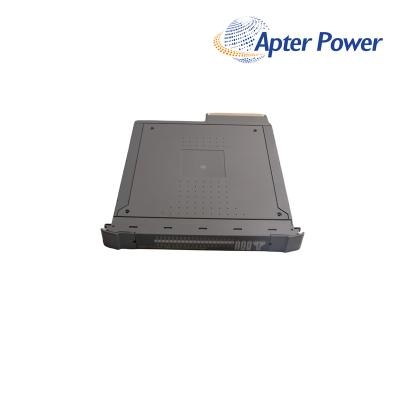 ICS Triplex T8473 Digital Output Module
