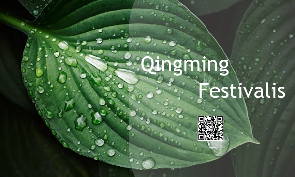 Festival tradicional chino
